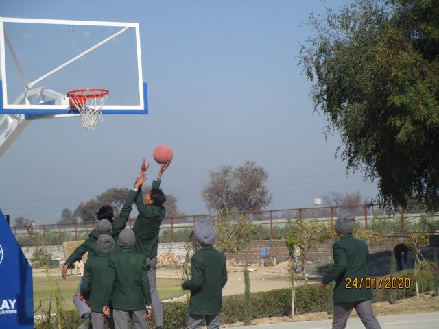 Sports Grounds