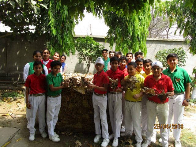 Bio Club Activities - photo 1
